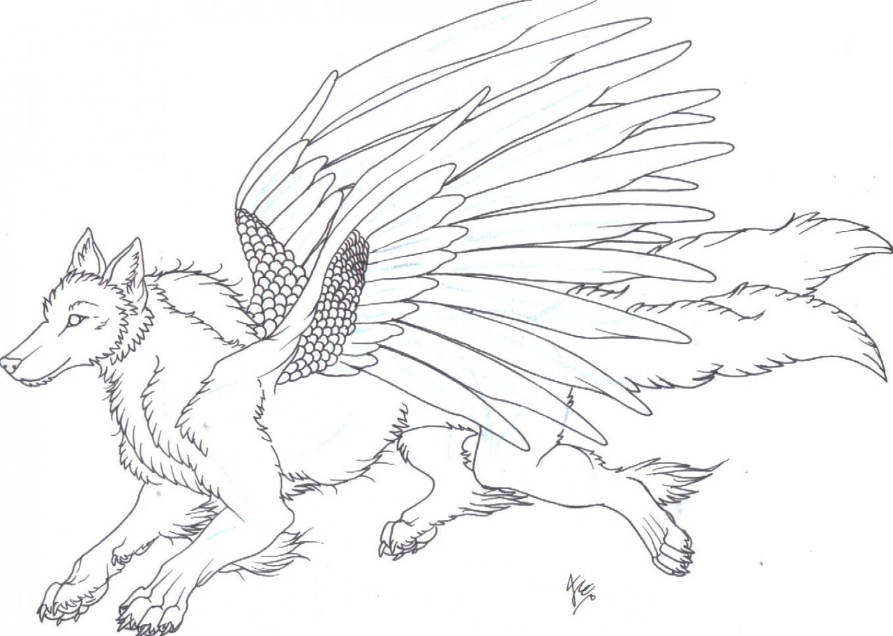 black winged wolf drawing
