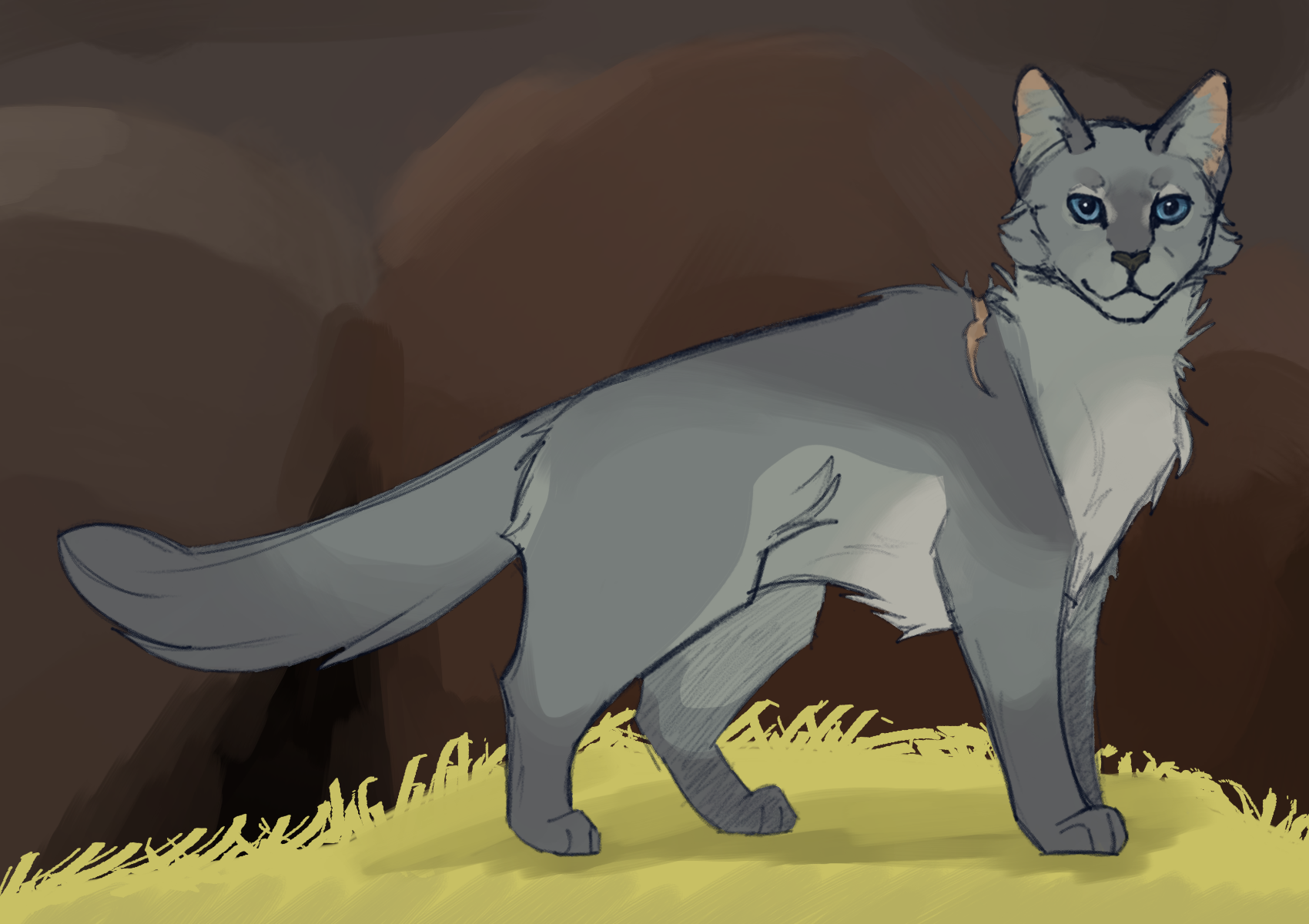 warrior cats Bluestar with moth