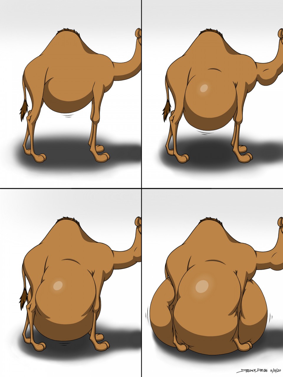 Camel. 
