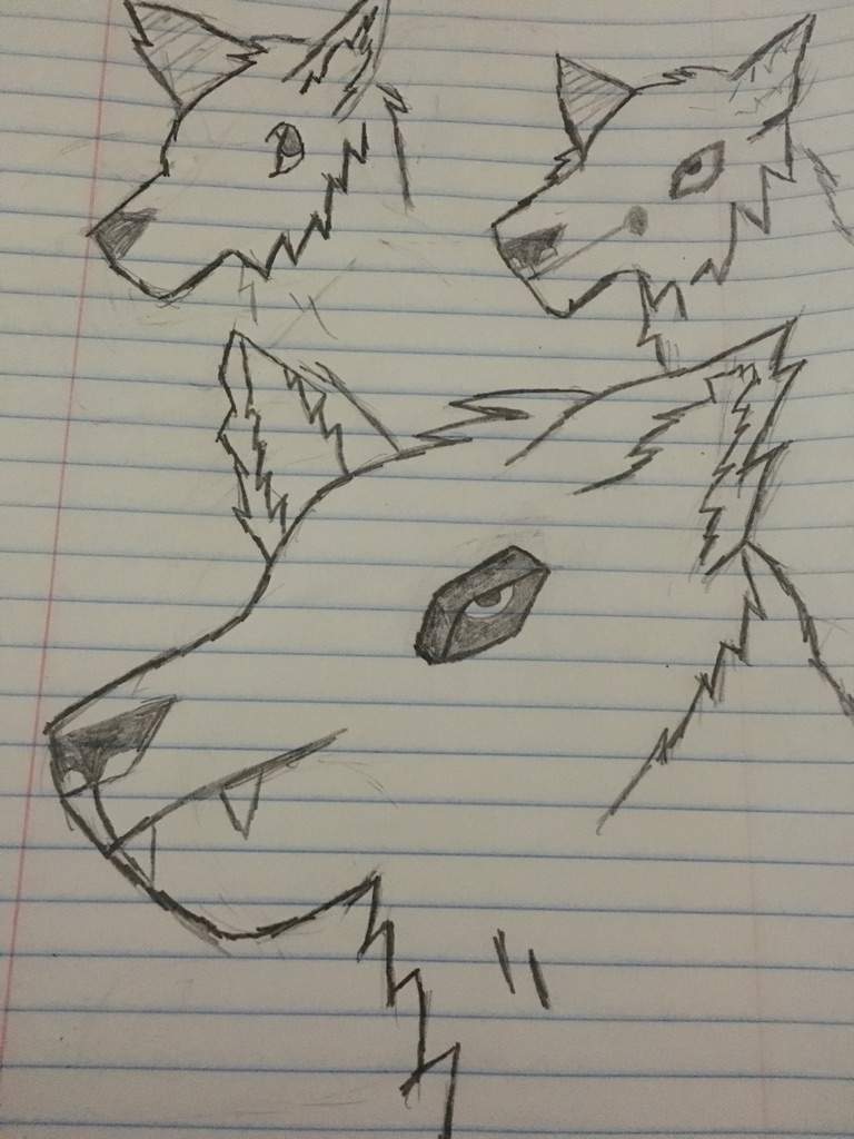 werewolf anime drawing