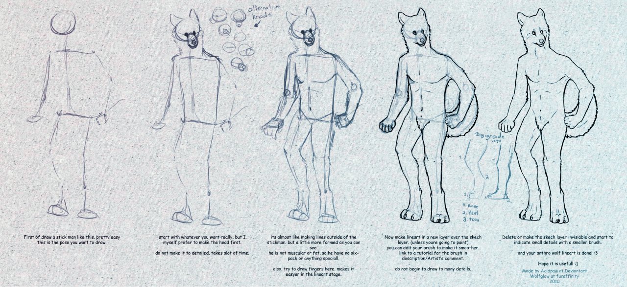 how to draw anthro wolf furry