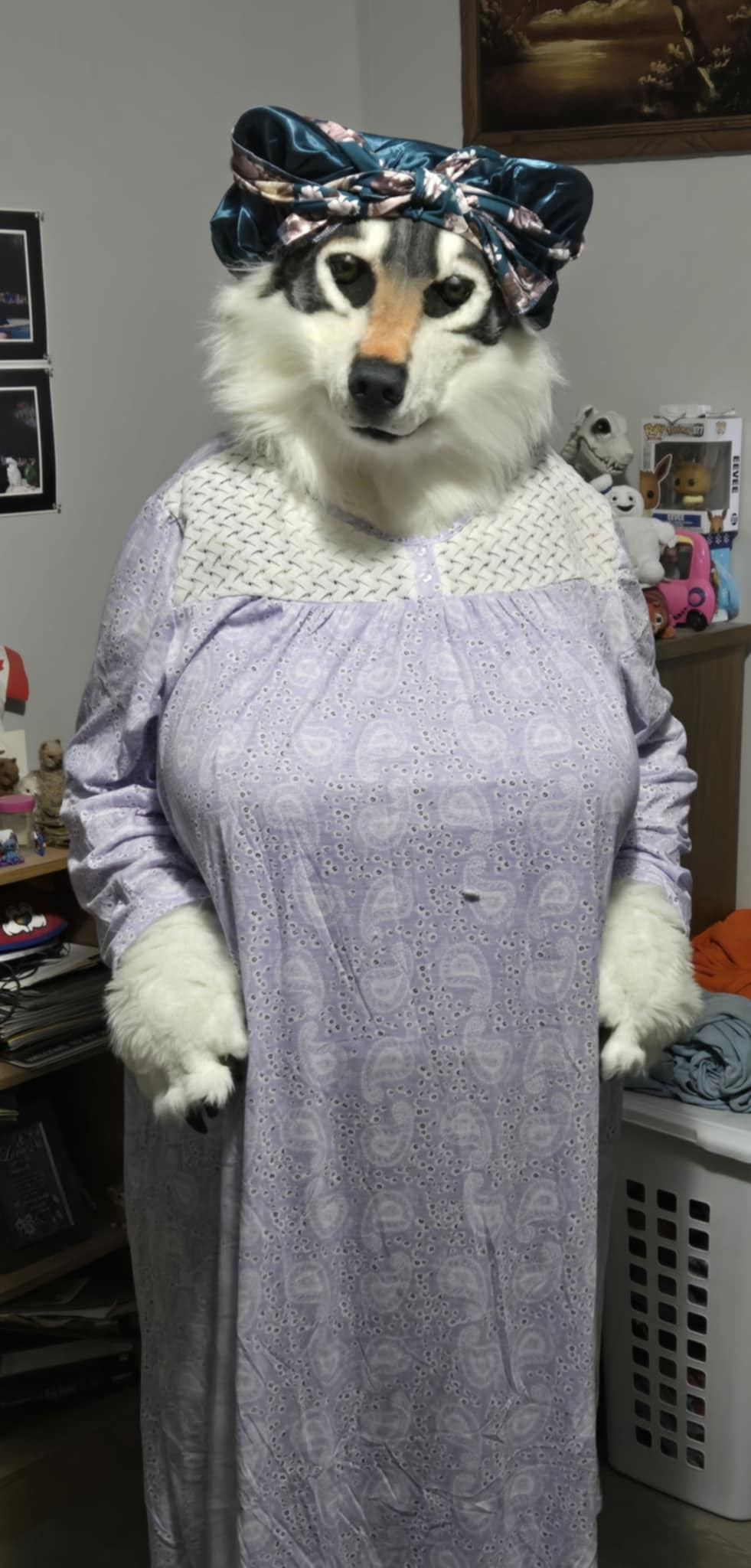1729882687.wolfie395_araina_grandma_costume_jpeg.jpg