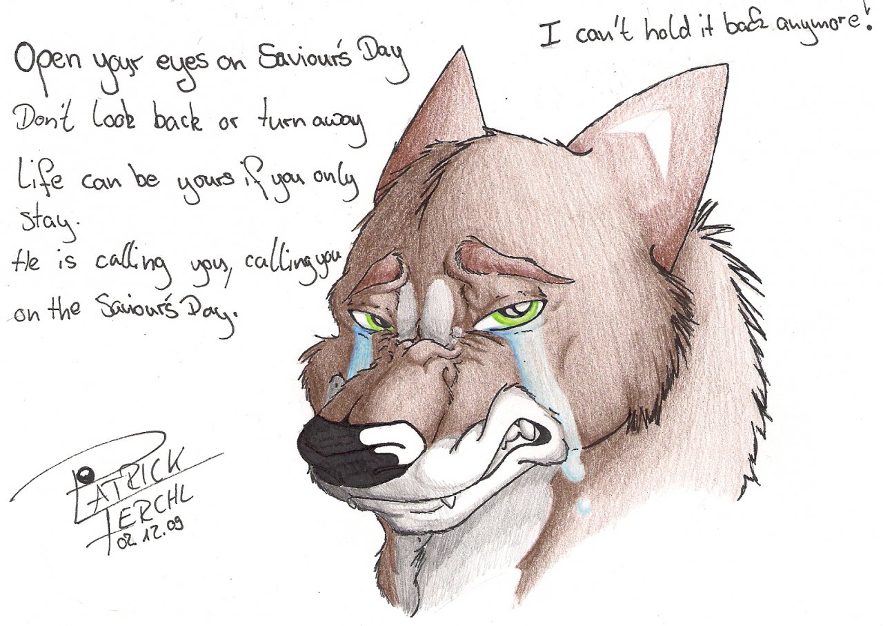 sad wolf crying