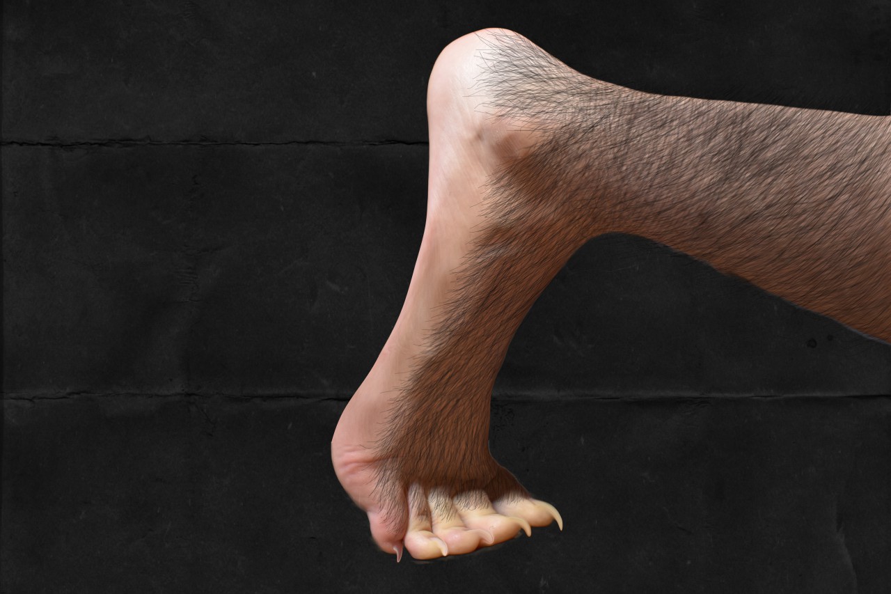 Werewolf feet transformation