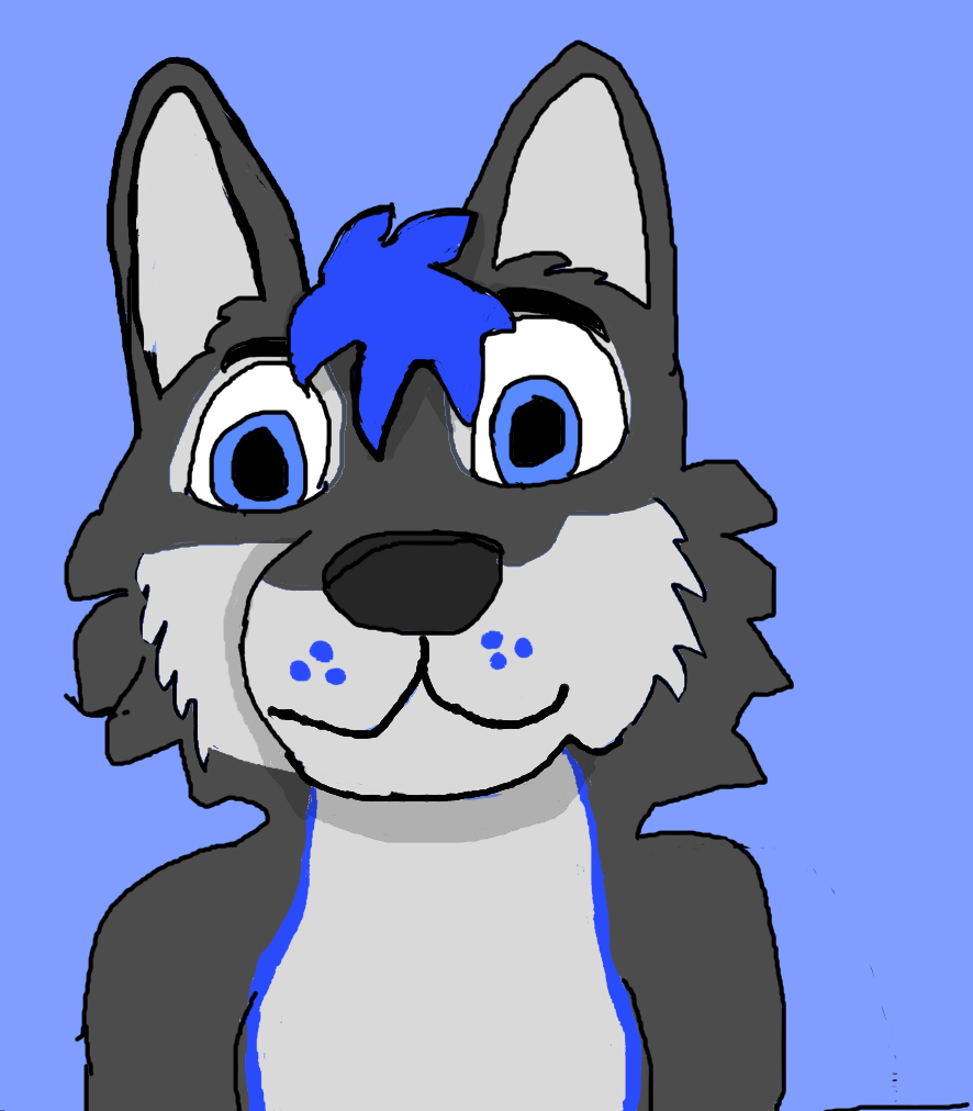 Cheap Custom SPEEDRUN Colored Sketch Fursona Headshots 