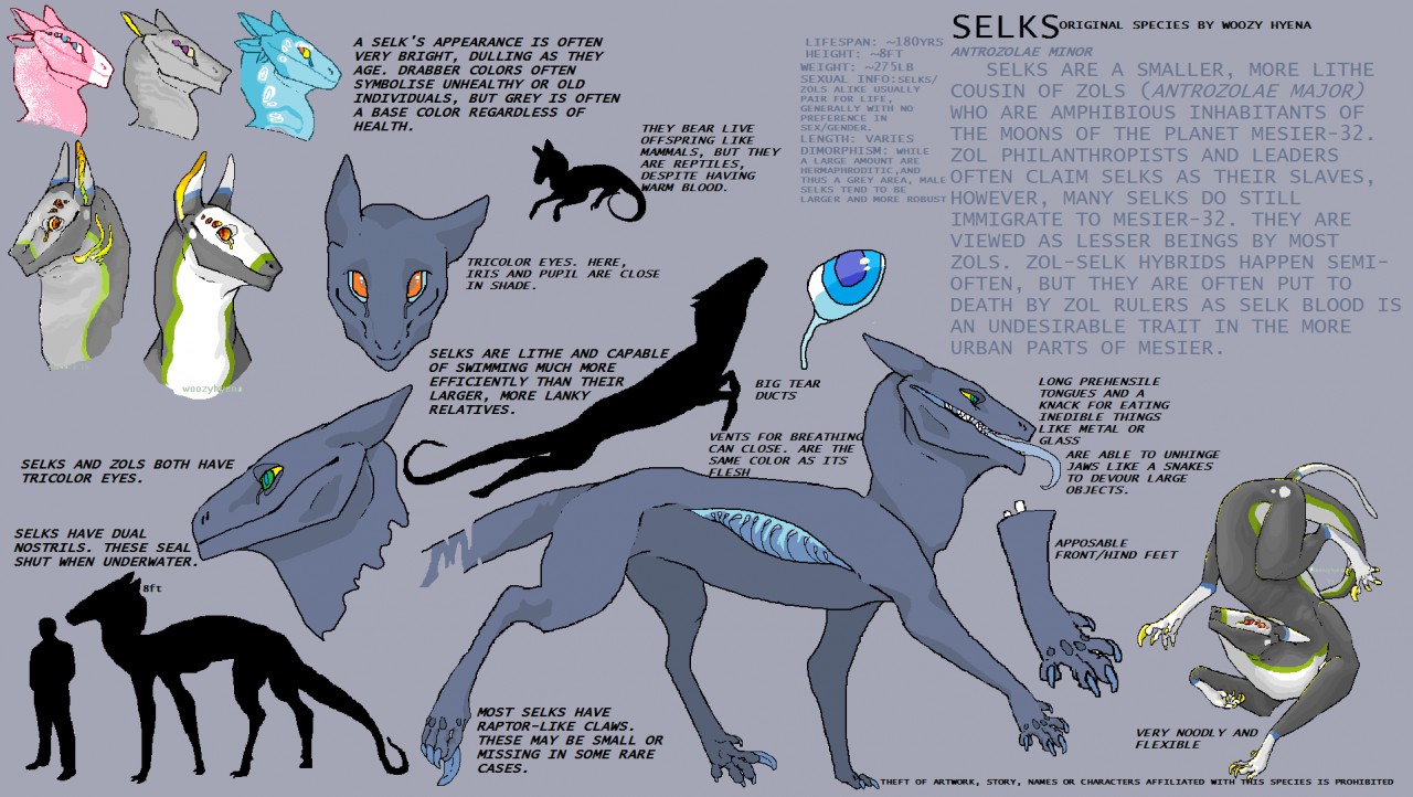 SELK closed species ref by woozy hyena Fur Affinity dot net