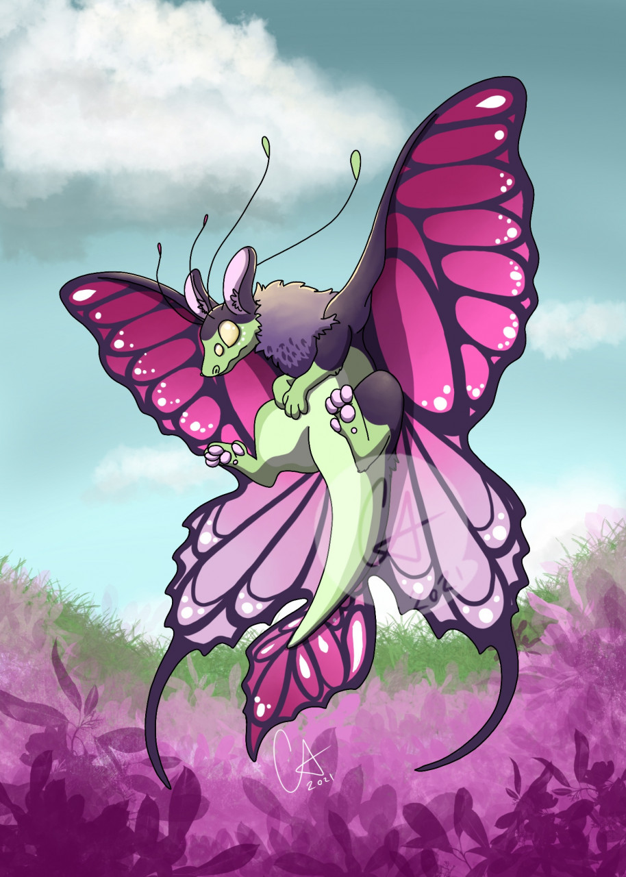 Butterfly Dragon