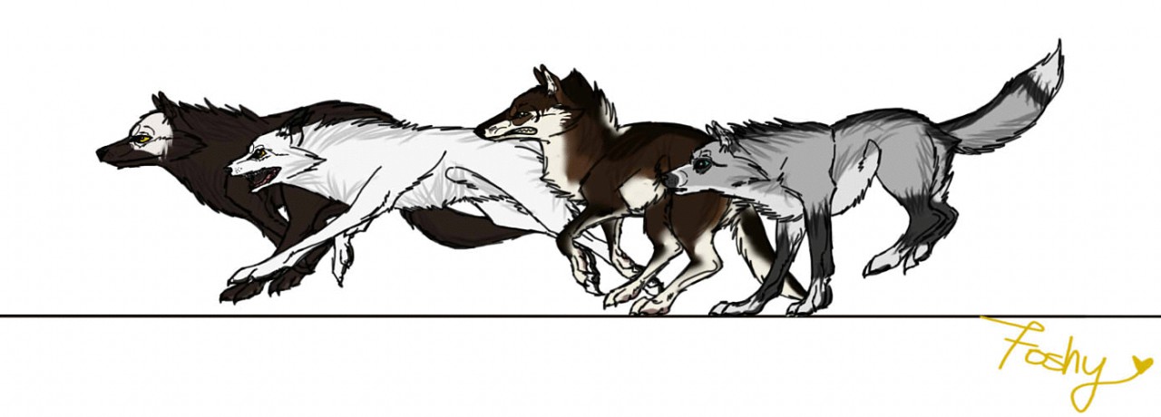Anime Wolf Pack Coloring Pages  Get Coloring Pages