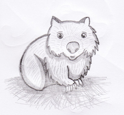 Premium Vector  Australian animal wombat isolated sketch fauna of australia