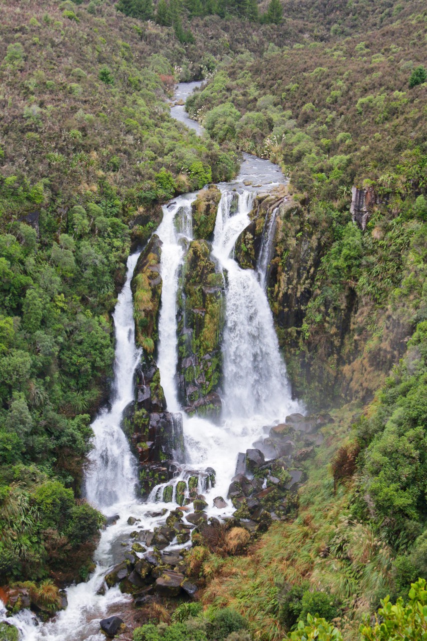 Waipunga Falls NZ