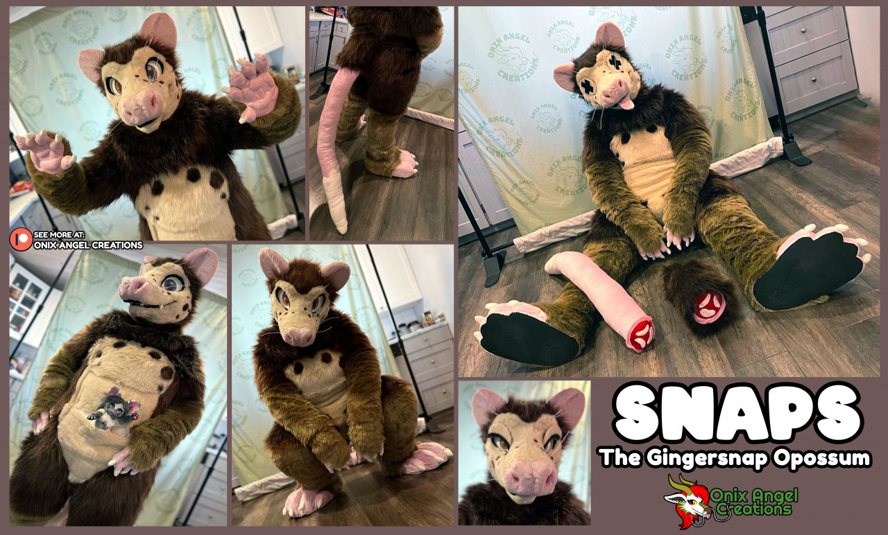 Fursuit opossum Tail and offers paws