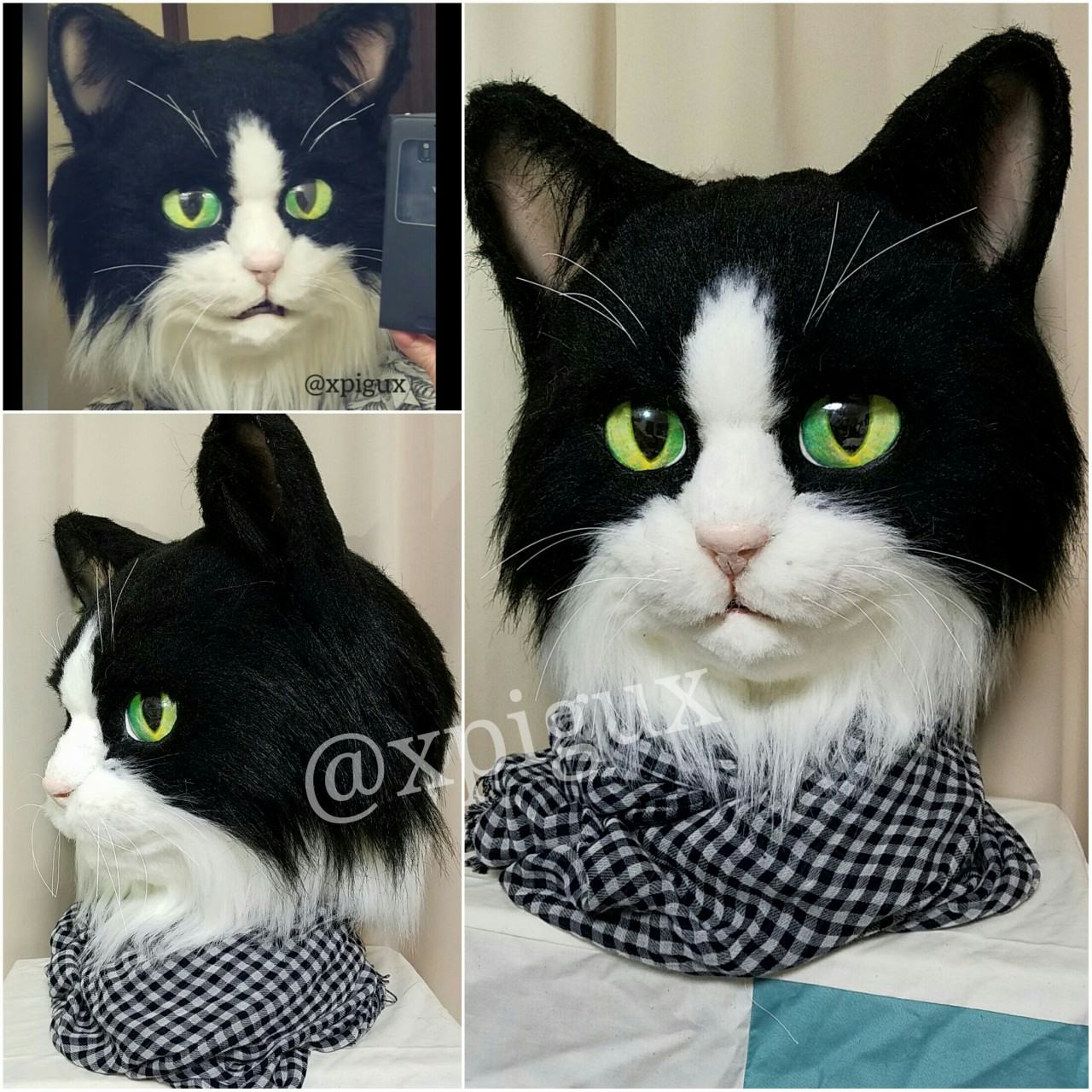 Bicolor Cat Head By Xpigux Fur Affinity Dot Net