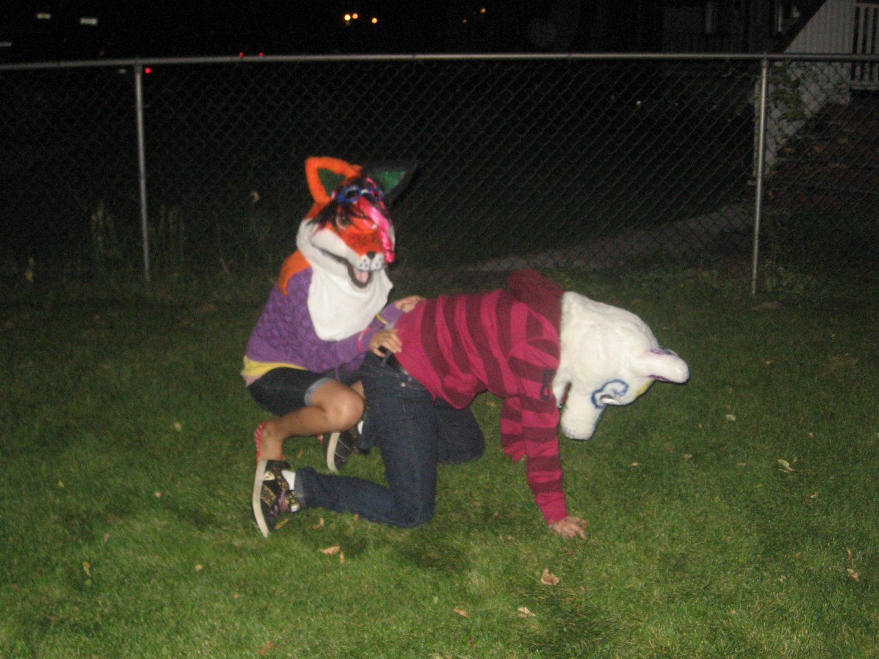 Butt humping
