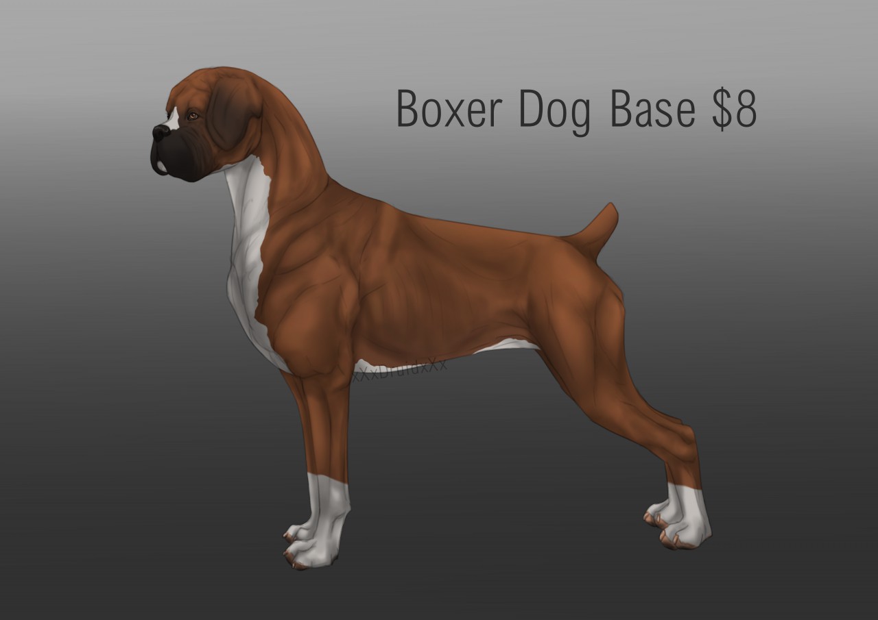 Boxer Base Shaded by xXxDruidxXx -- Fur Affinity [dot] net