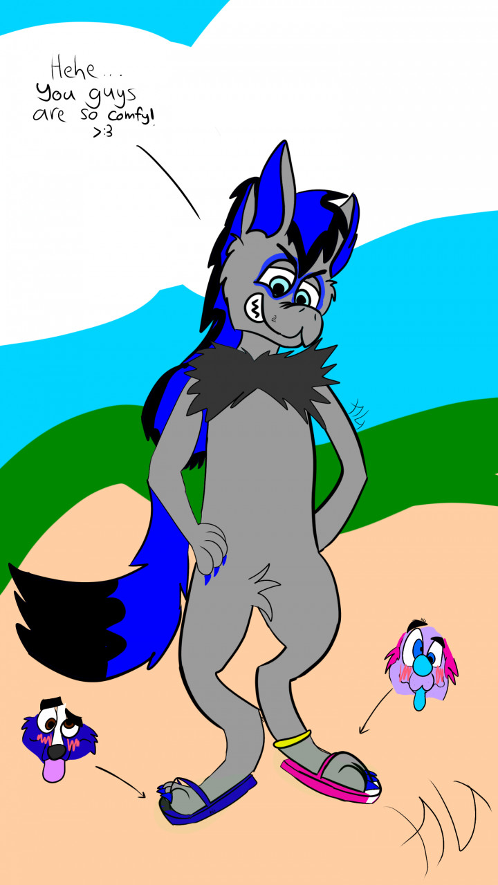 gift] new flip flops for 2021 by xxxxyyyyzzzz -- Fur Affinity [dot] net