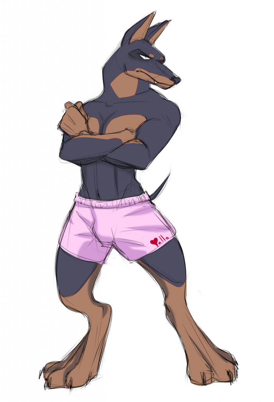 Doberman furry