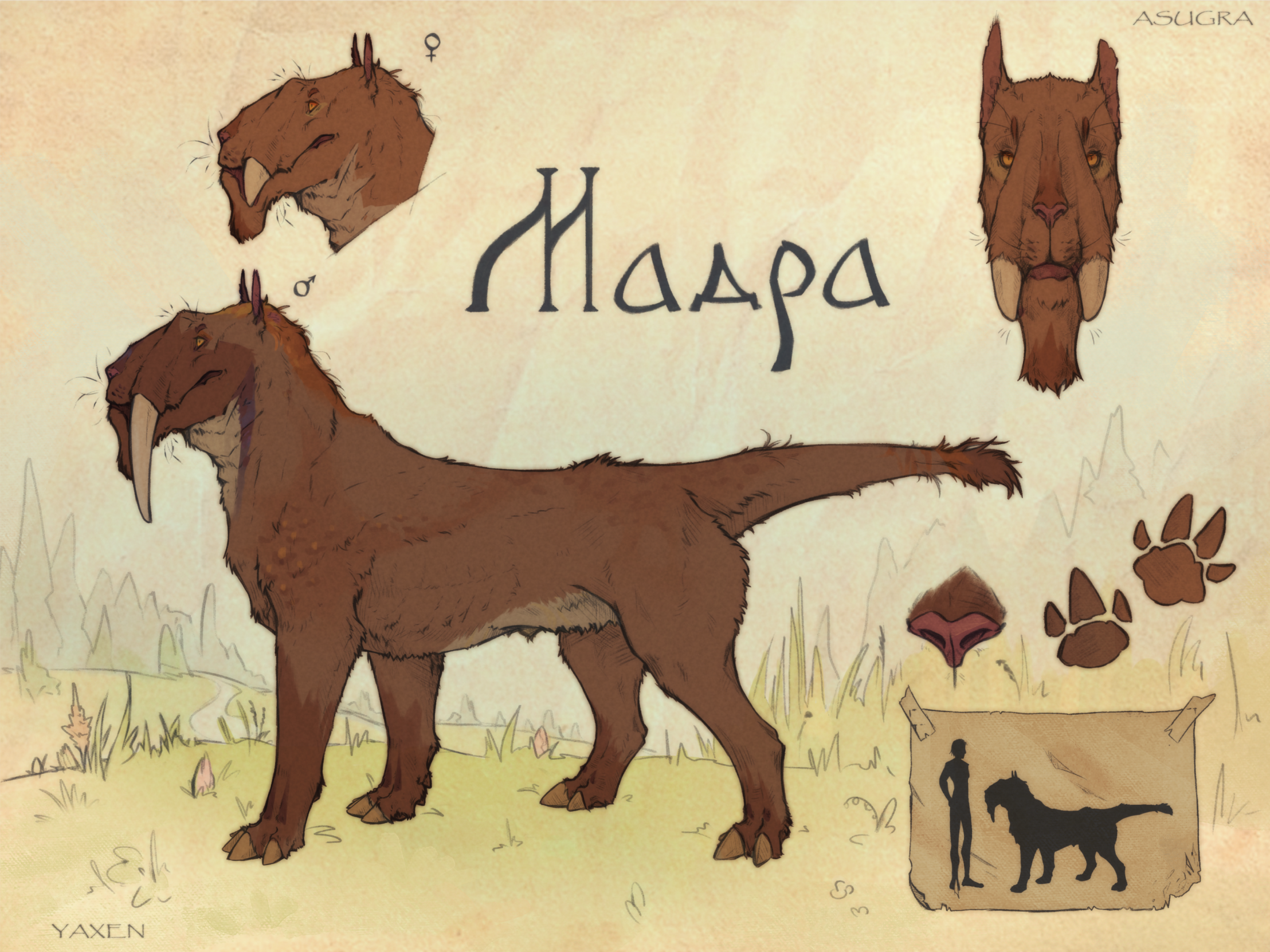 Madra | Species reference sheet