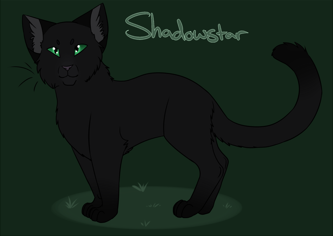 warrior cats shadowstar