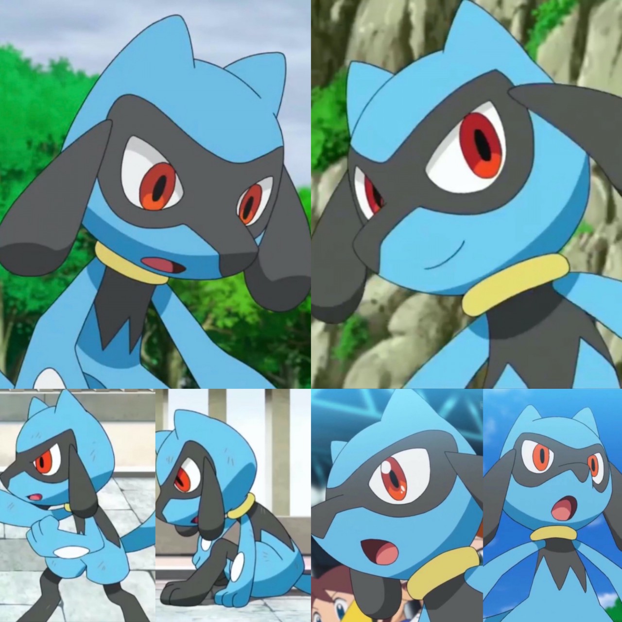 Pokémon Club - What you want to see Riolu in the anime.... | Facebook