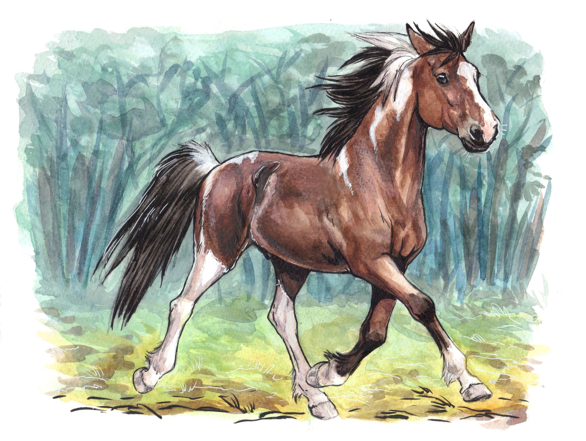 How To Draw A Running Horse, Step by Step, Drawing Guide, by Dawn - DragoArt