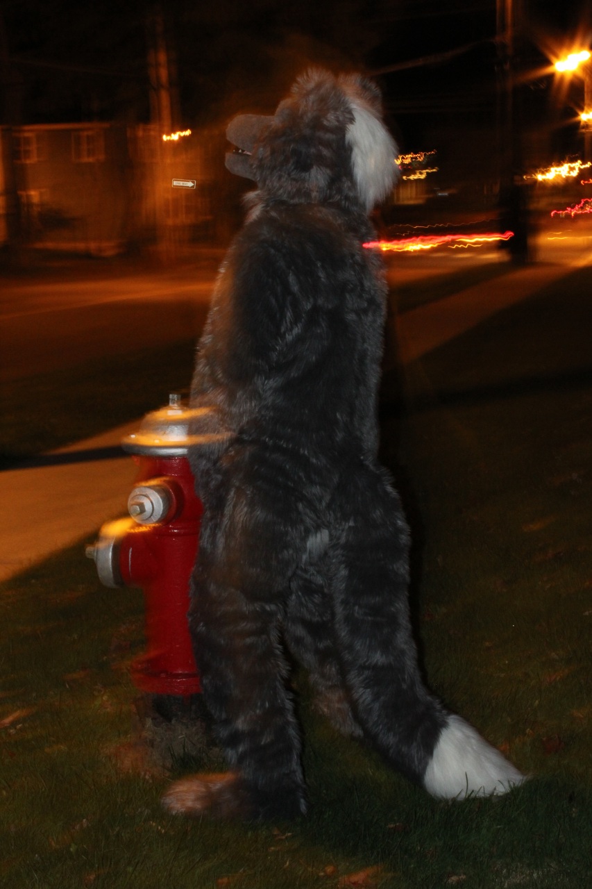 Fursuit Watersports
