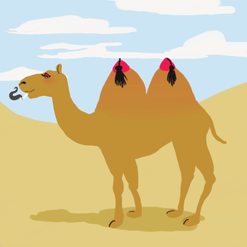Camel Clip Porn