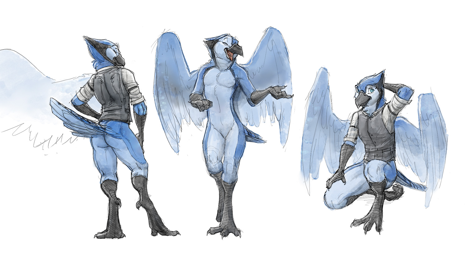 Bluejay Sketches Watercolor By Zaush Fur Affinity Dot Net