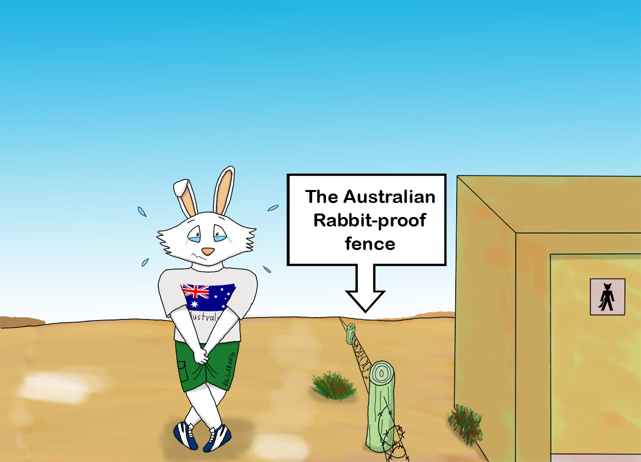 rabbit proof fence essay