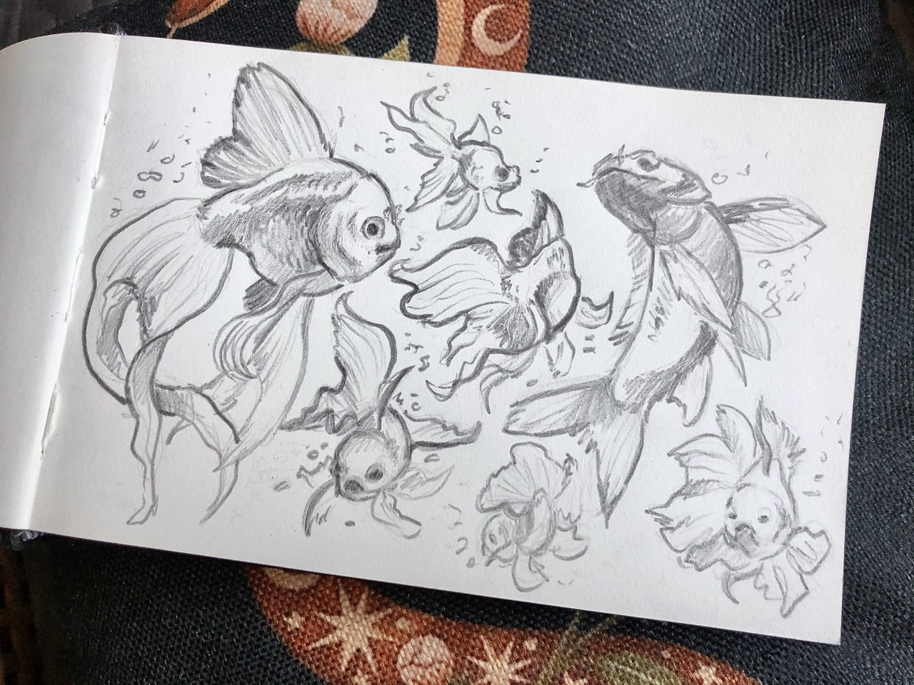How to Draw a Goldfish  Easy Drawing Art