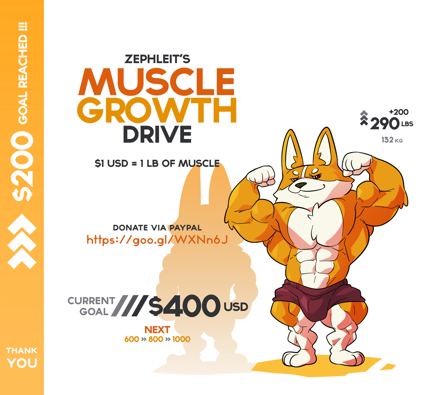 Muscular corgi