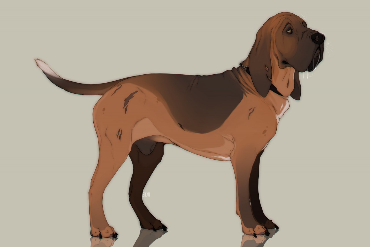 apex bloodhound anime skin｜TikTok Search