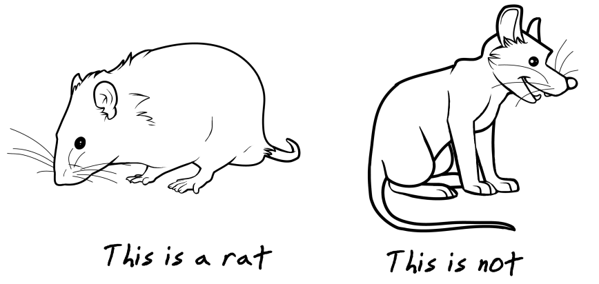 How to Draw a Rat - A Fun Guide to Creating a Rat Drawing