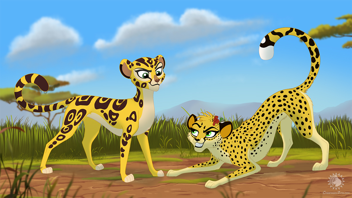 Fuli the cheetah