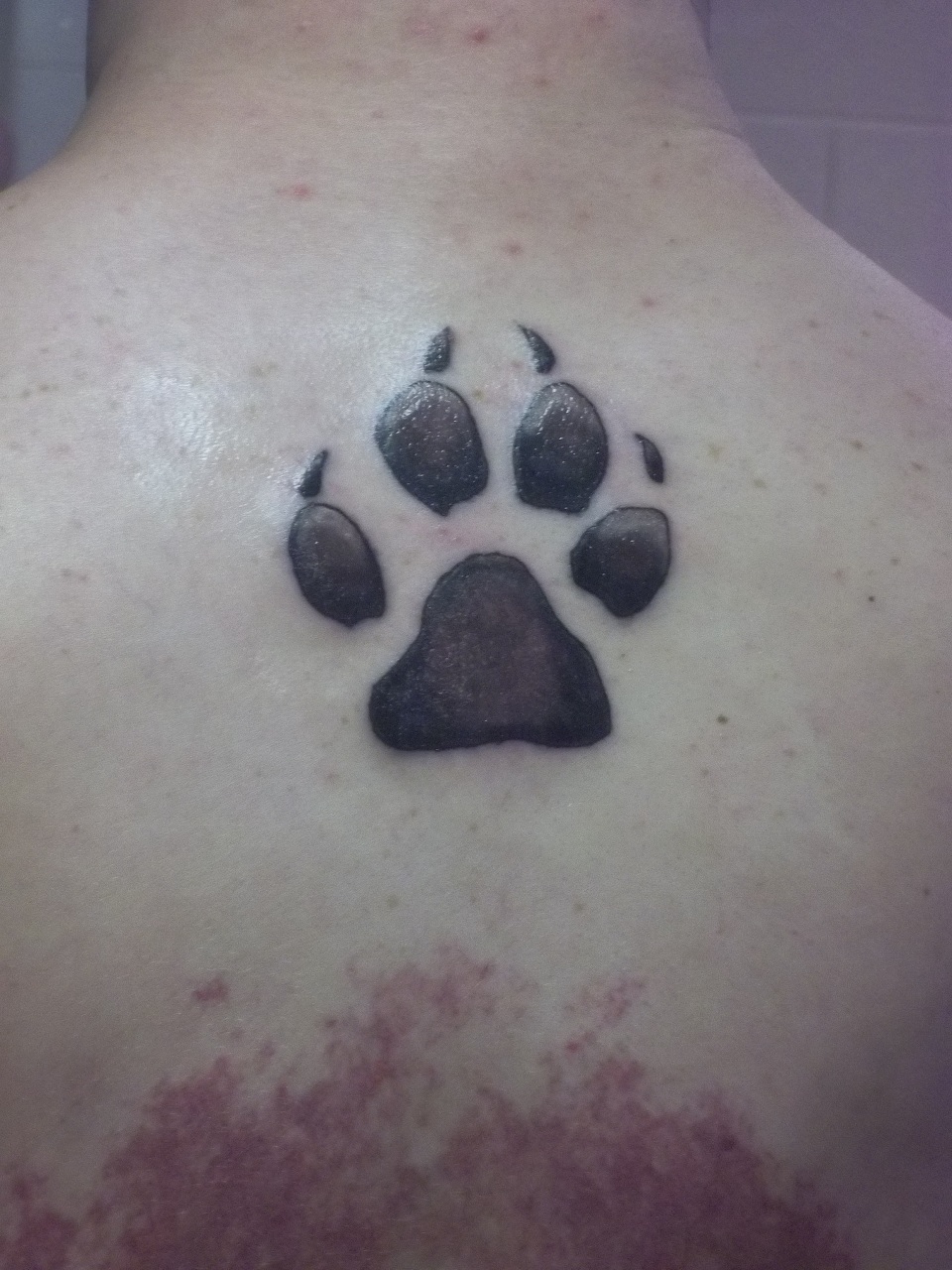 Paw Dog Cat Tattoo Animal track Wolf Paw white text png  PNGEgg