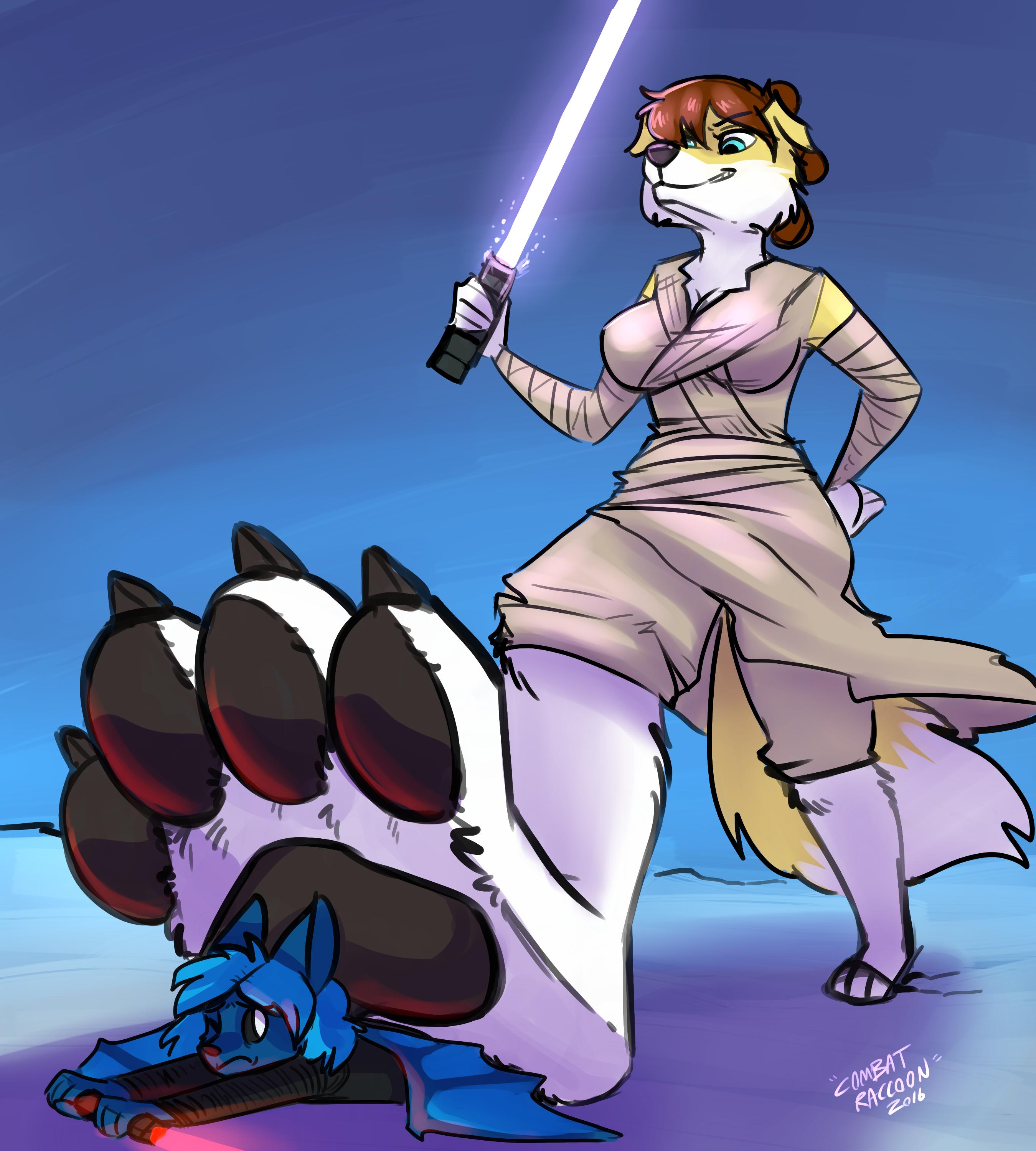 The Paw Awakens by Zoodis -- Fur Affinity [dot] net