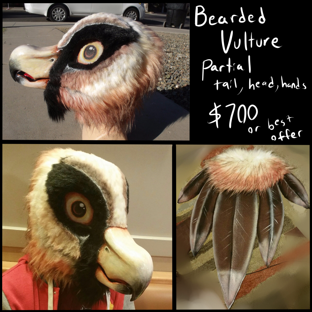 Bearded Vulture (lammergeier) fursuit for sale! by Zrcalo -- Fur Affinity  [dot] net
