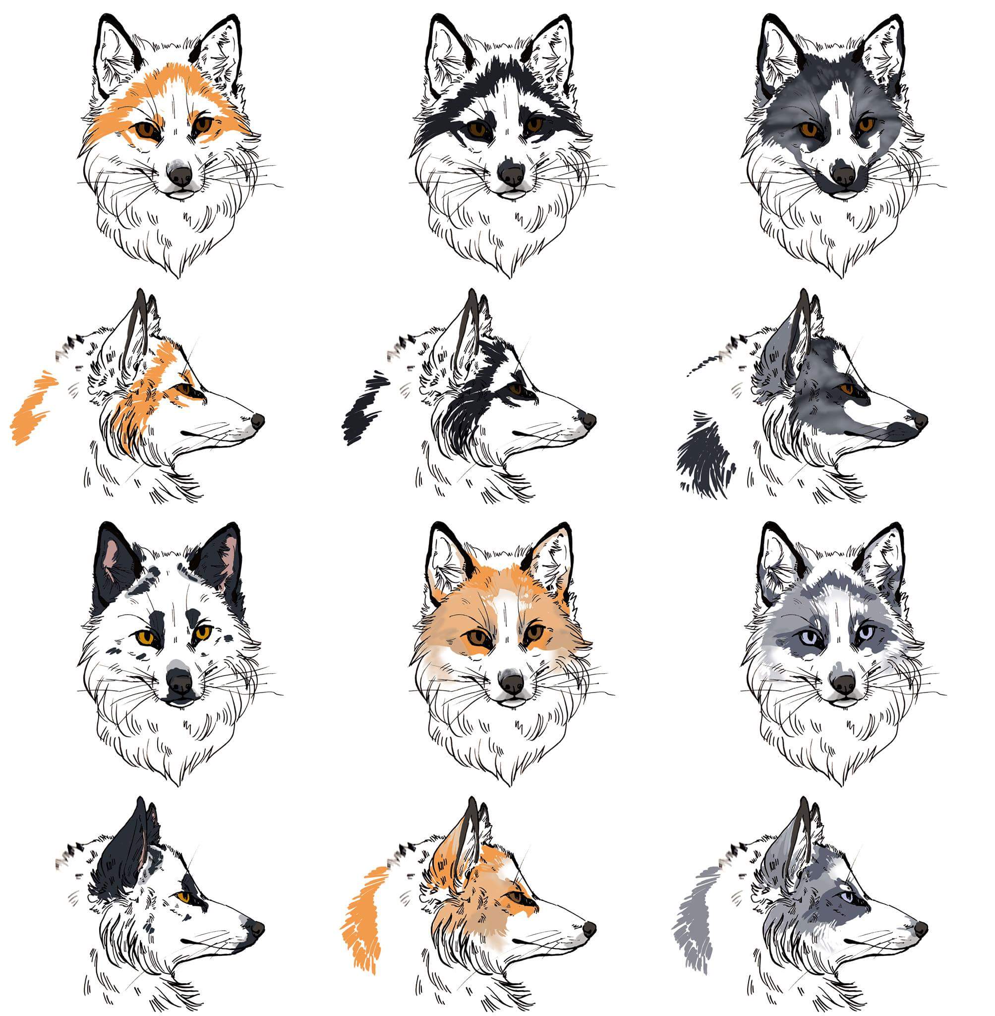 marble fox