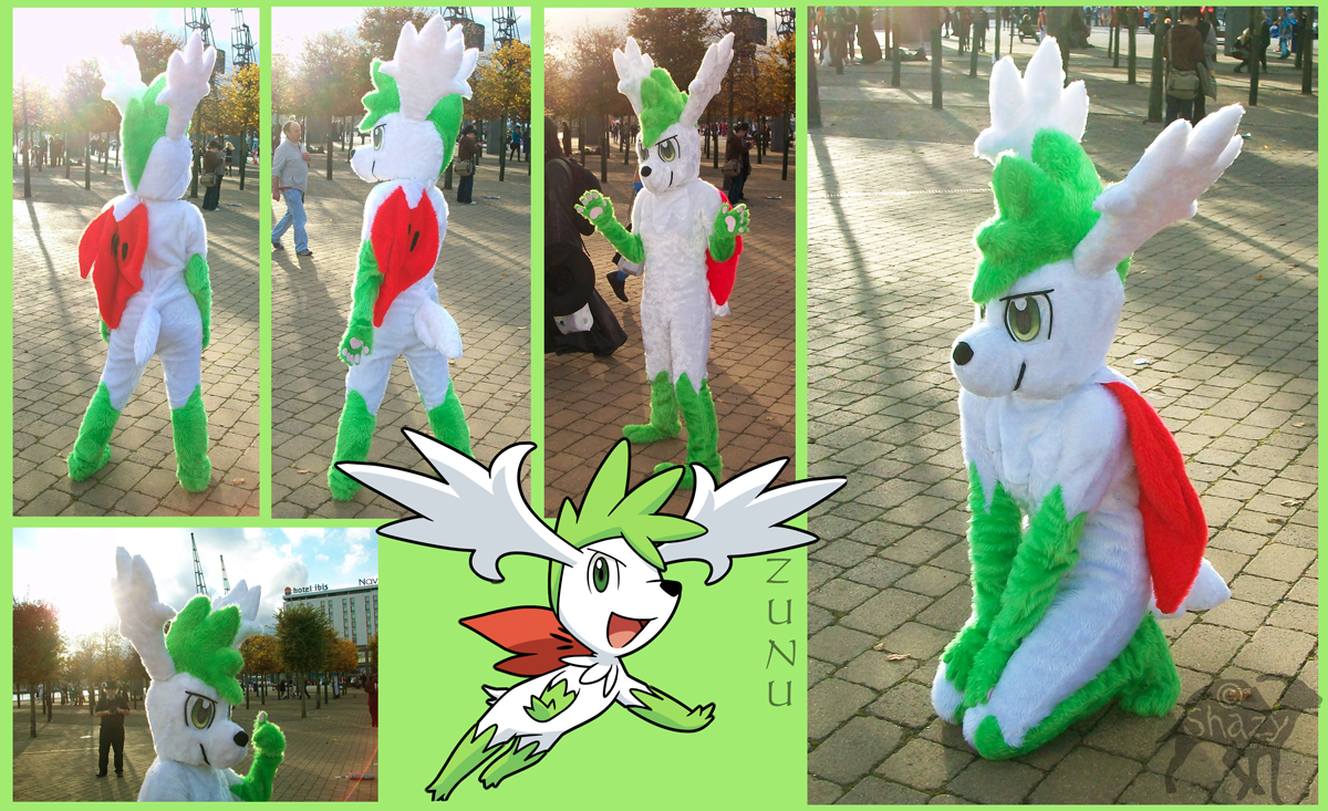 Shaymin Sky Frome by Sioteru -- Fur Affinity [dot] net